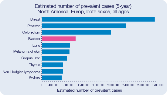 bladder cancer both sexes