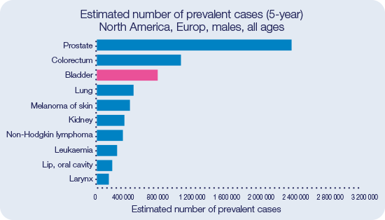 Bladder cancer males