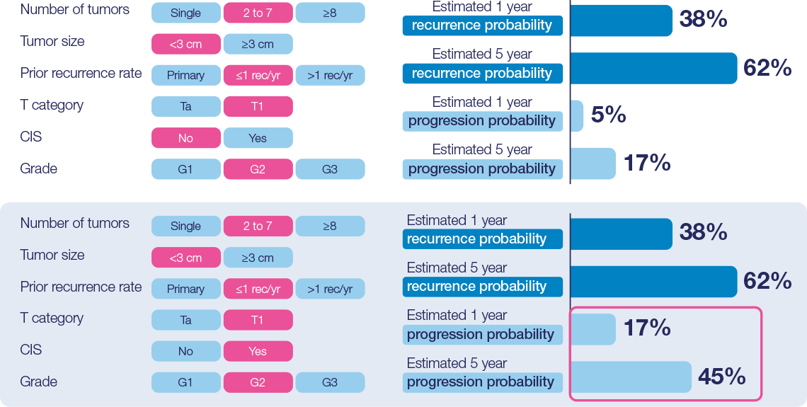 eortc risk categories